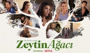 Zeytin Agaci Netflix Izle