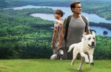 Kayıp Köpek Netflix İzle